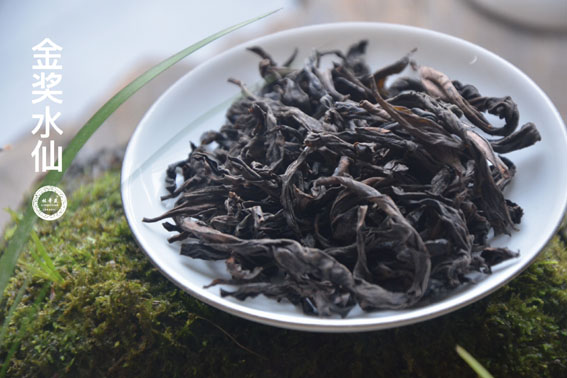 【金獎(jiǎng)水仙】 